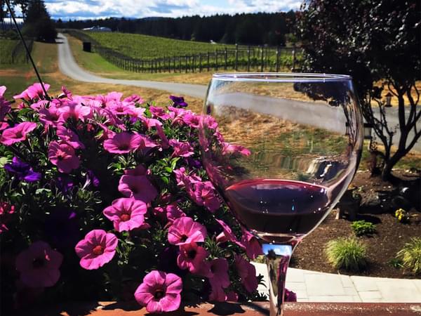Cowichan Valley Wine Tour