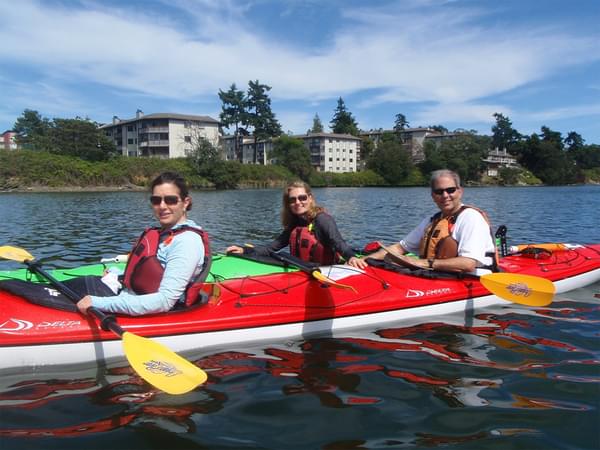 Victoria Harbour Kayak Tour