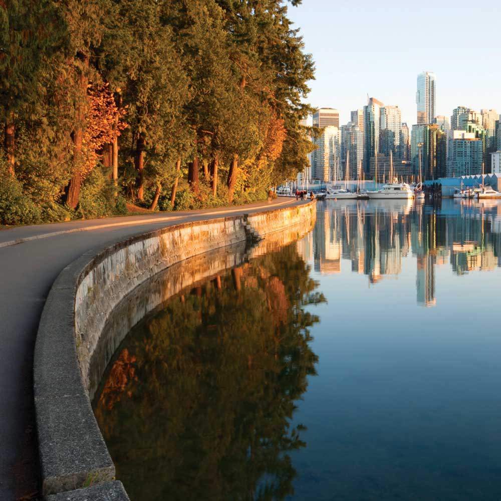 Vancouver City & Lookout Tour