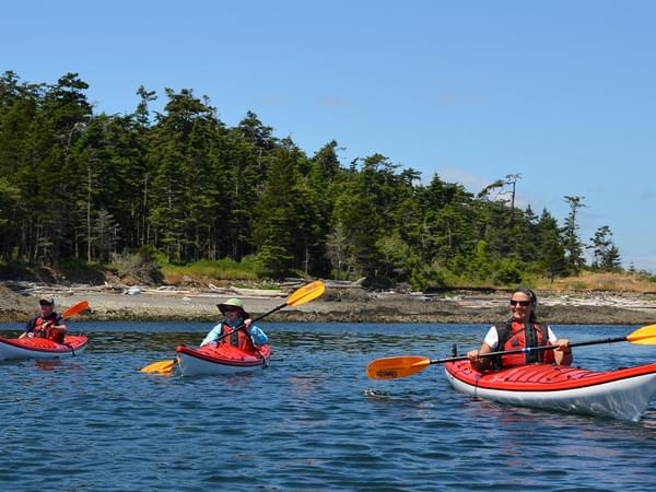 Victoria Kayak Tour