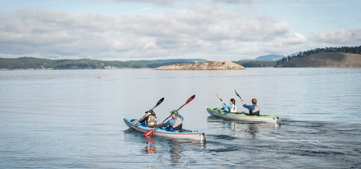 A group of kayakers paddles through the waters surrounding San Juan Island.