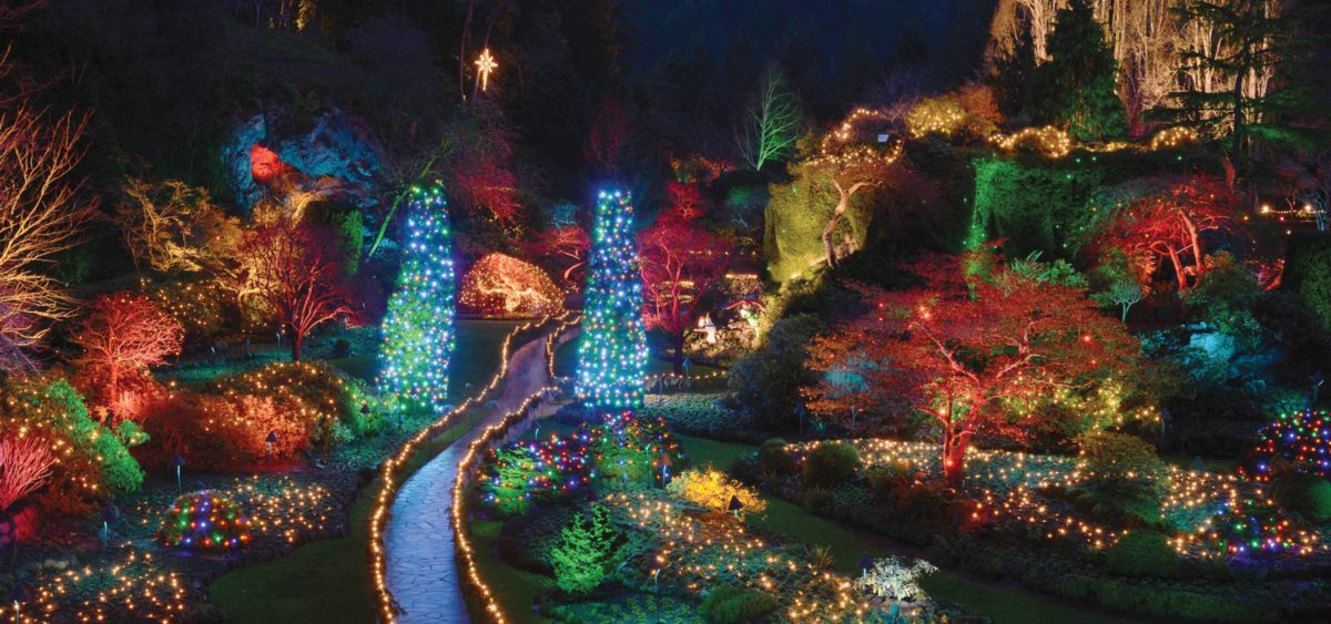 See thousands of twinkling lights on The Butchart Gardens holiday lights tour.